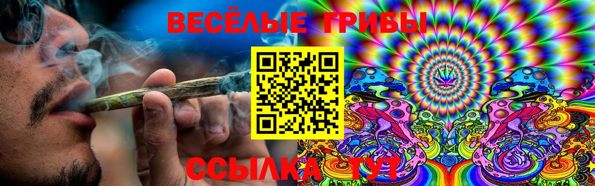 Сорочинск  Галлюциногенные грибы прущие грибы  Вход с VPN 